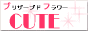 �v���U�[�u�h�t�����[ CUTE 