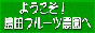 �M�B��񂲁y���c�t���[�c�_���M�B��񂲁y���c�t���[�c�_���z
